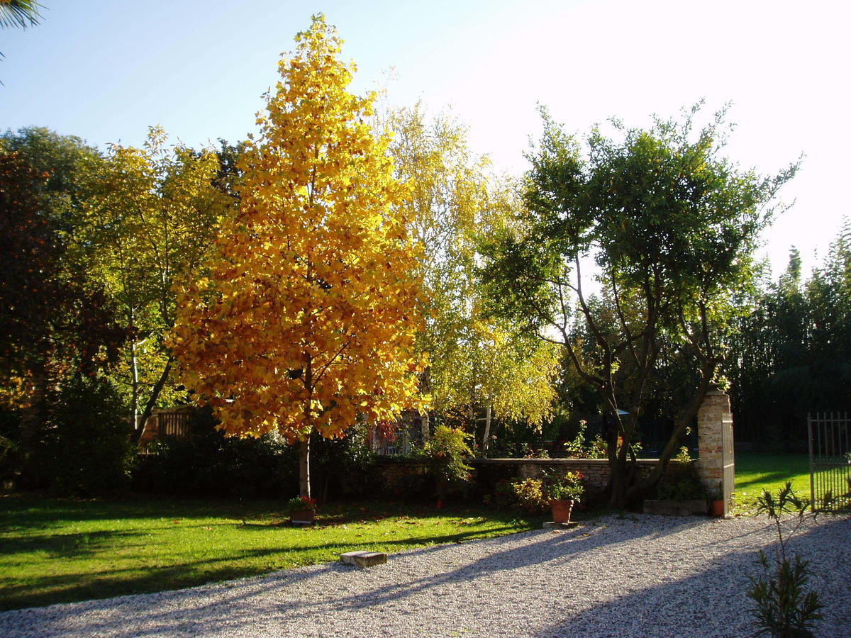 Borgo Palazzo Steffaneo Bed and Breakfast San Vito al Torre Kamer foto